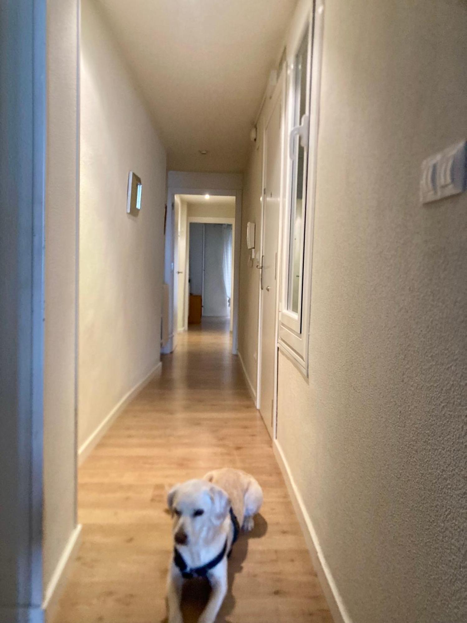 Apartamento San Gregorio 팜플로나 외부 사진